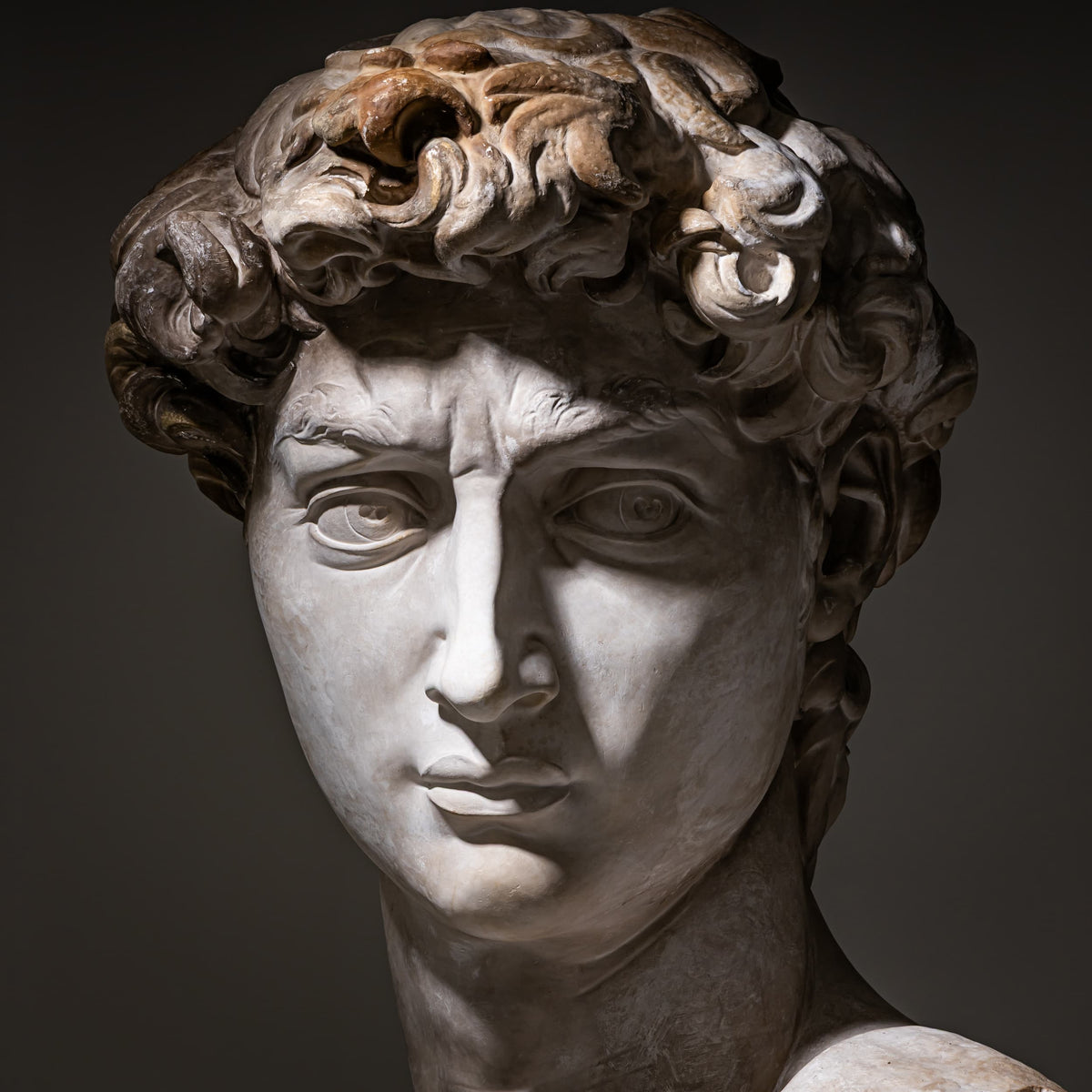 Head of Michelangelo's David, Modern Plaster Copy, Italy, 21st Century