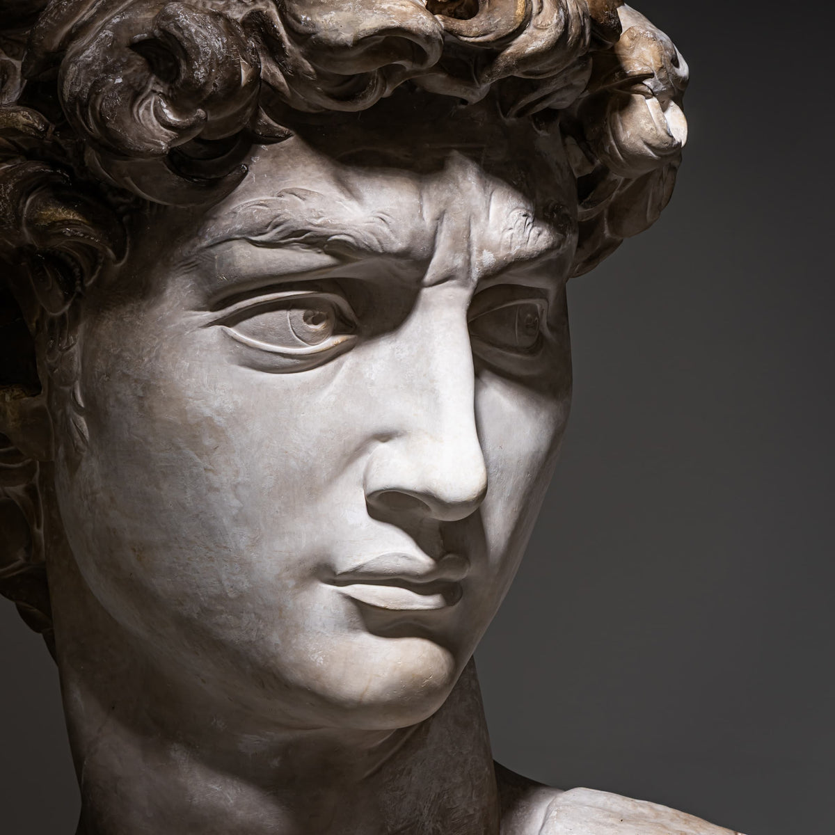 Head of Michelangelo's David, Modern Plaster Copy, Italy, 21st Century