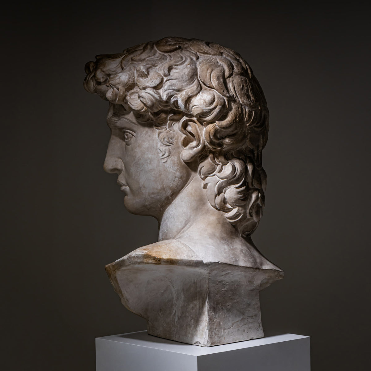 Head of Michelangelo's David, Modern Plaster Copy, Italy, 21st Century