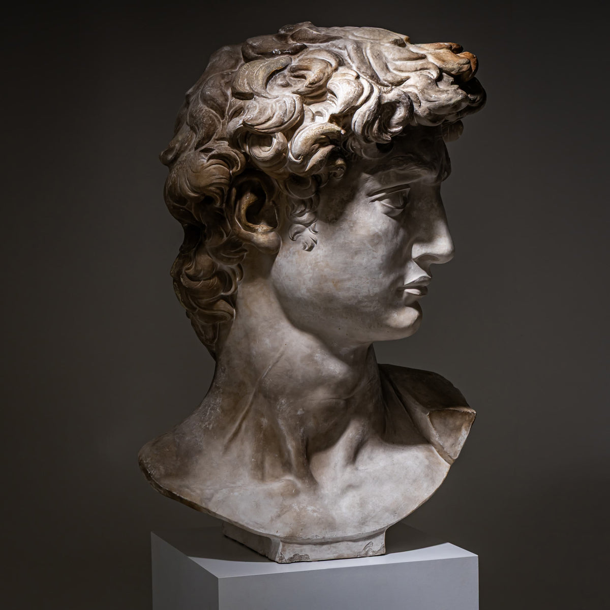 Head of Michelangelo's David, Modern Plaster Copy, Italy, 21st Century