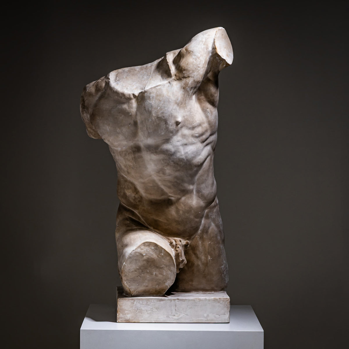 Torso of the Borghese Gladiator, Modern Plaster Copy after the Antique, Italy, 21st Century
