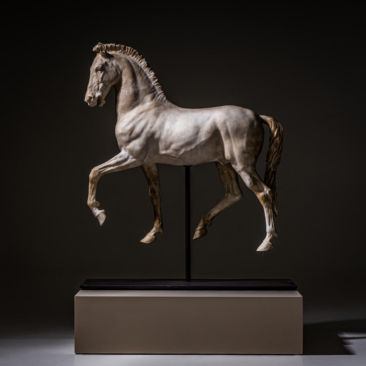 Cavallo Arabo after Gaetano Monti, Plaster, Italy, 21st Century