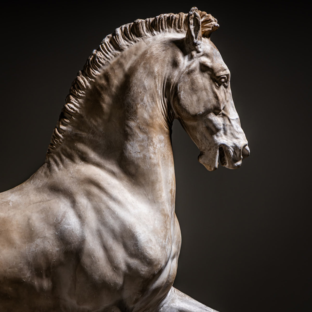 Cavallo Arabo after Gaetano Monti, Plaster, Italy, 21st Century