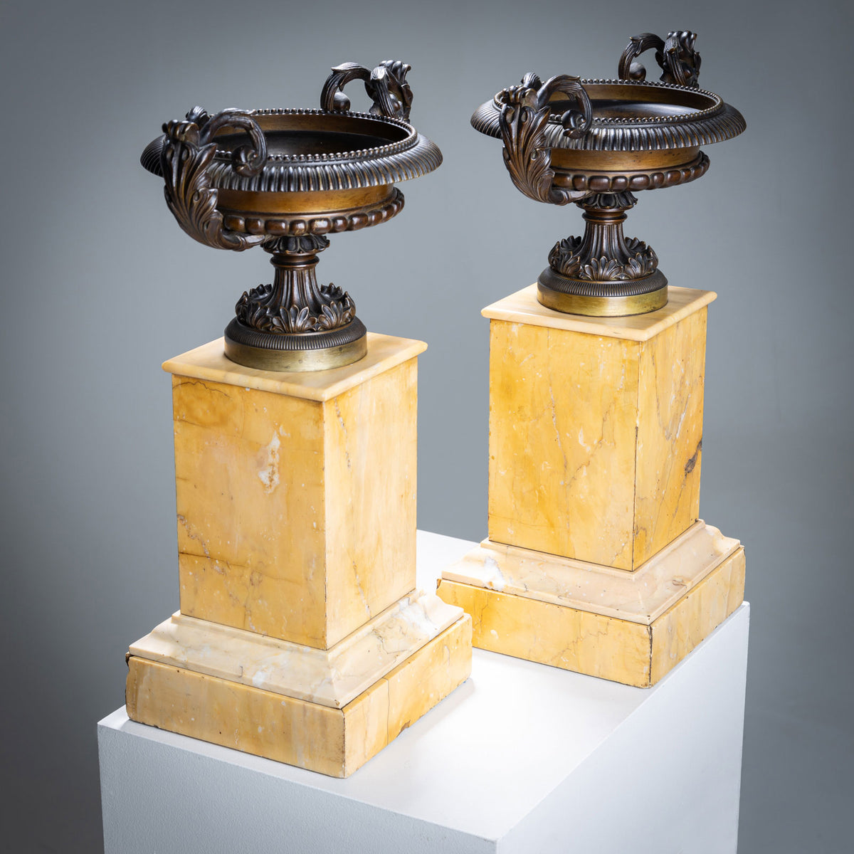 Pair of Bronze Tazzas on Siena Marble Pedestals