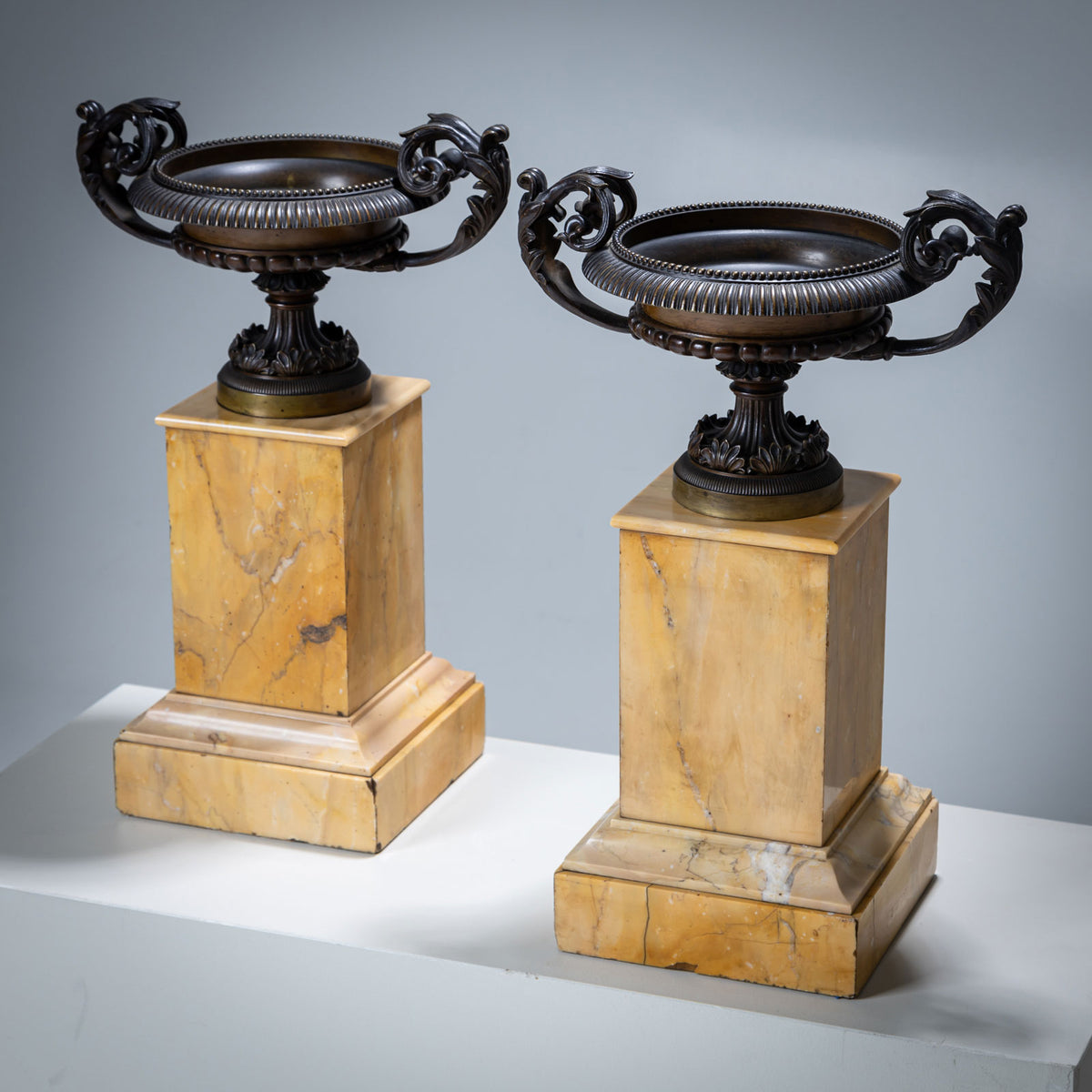 Bronzetazzen auf Siena Marmor Podesten