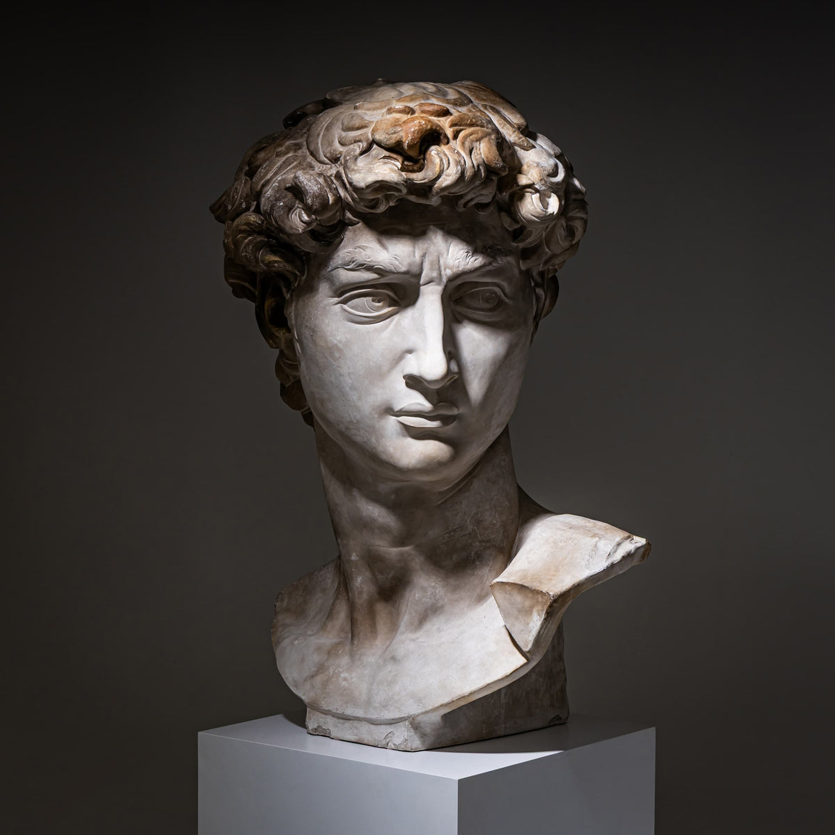 Head of Michelangelo's David, Modern Plaster Copy, Italy, 21st Century