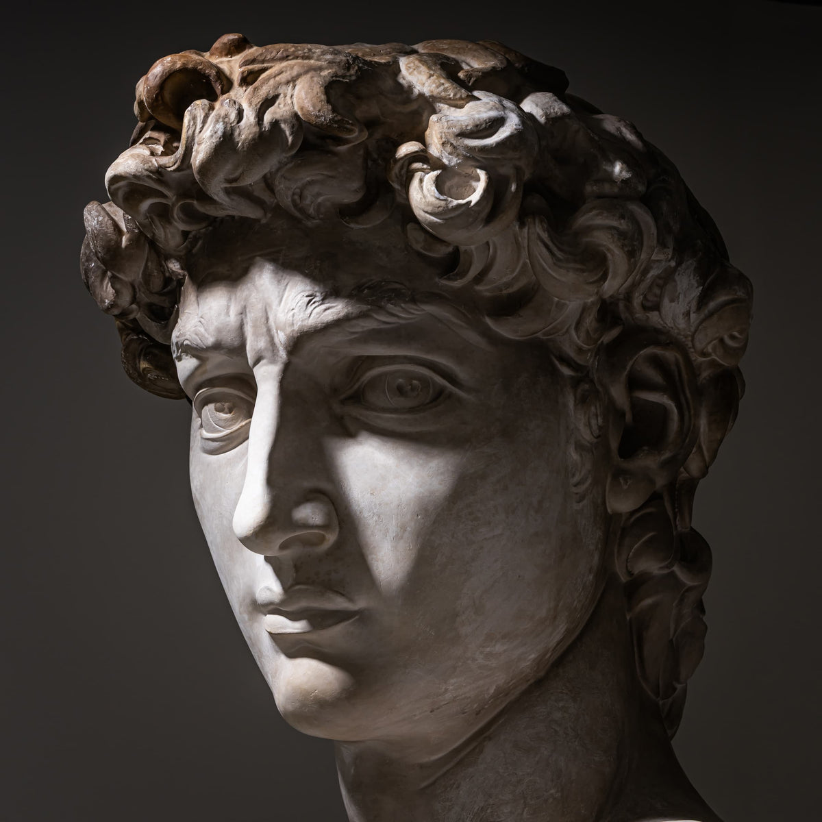 Head of Michelangelo's David, Modern Plaster Copy, Italy, 21st Century