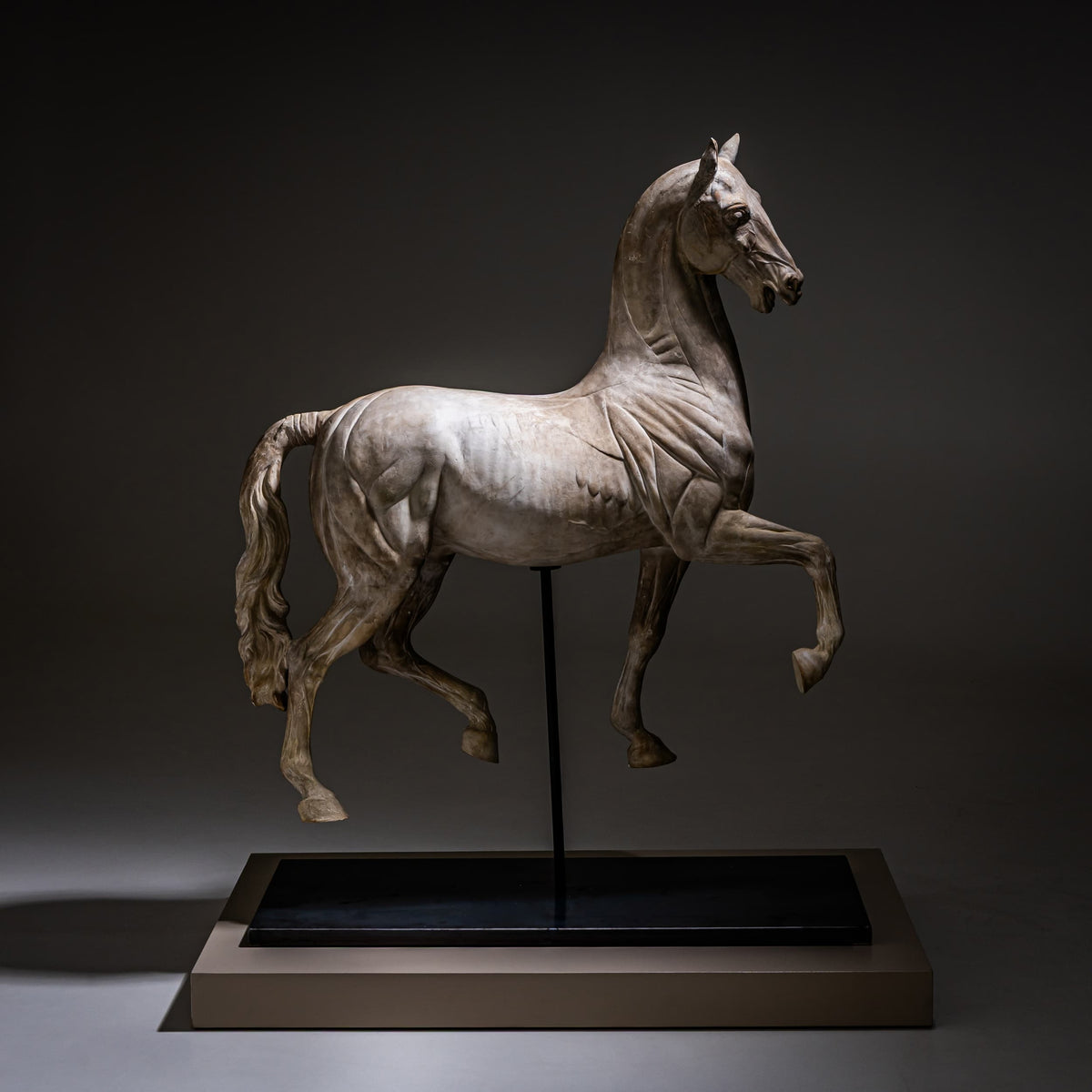 The Torri (Mattei) Horse, Écorché Study in Plaster, Italy, 21st Century