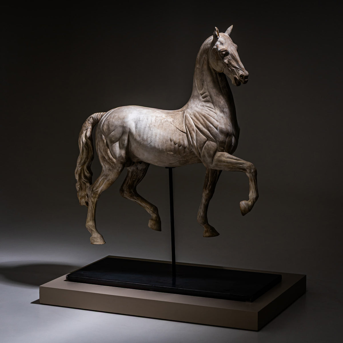 The Torri (Mattei) Horse, Écorché Study in Plaster, Italy, 21st Century