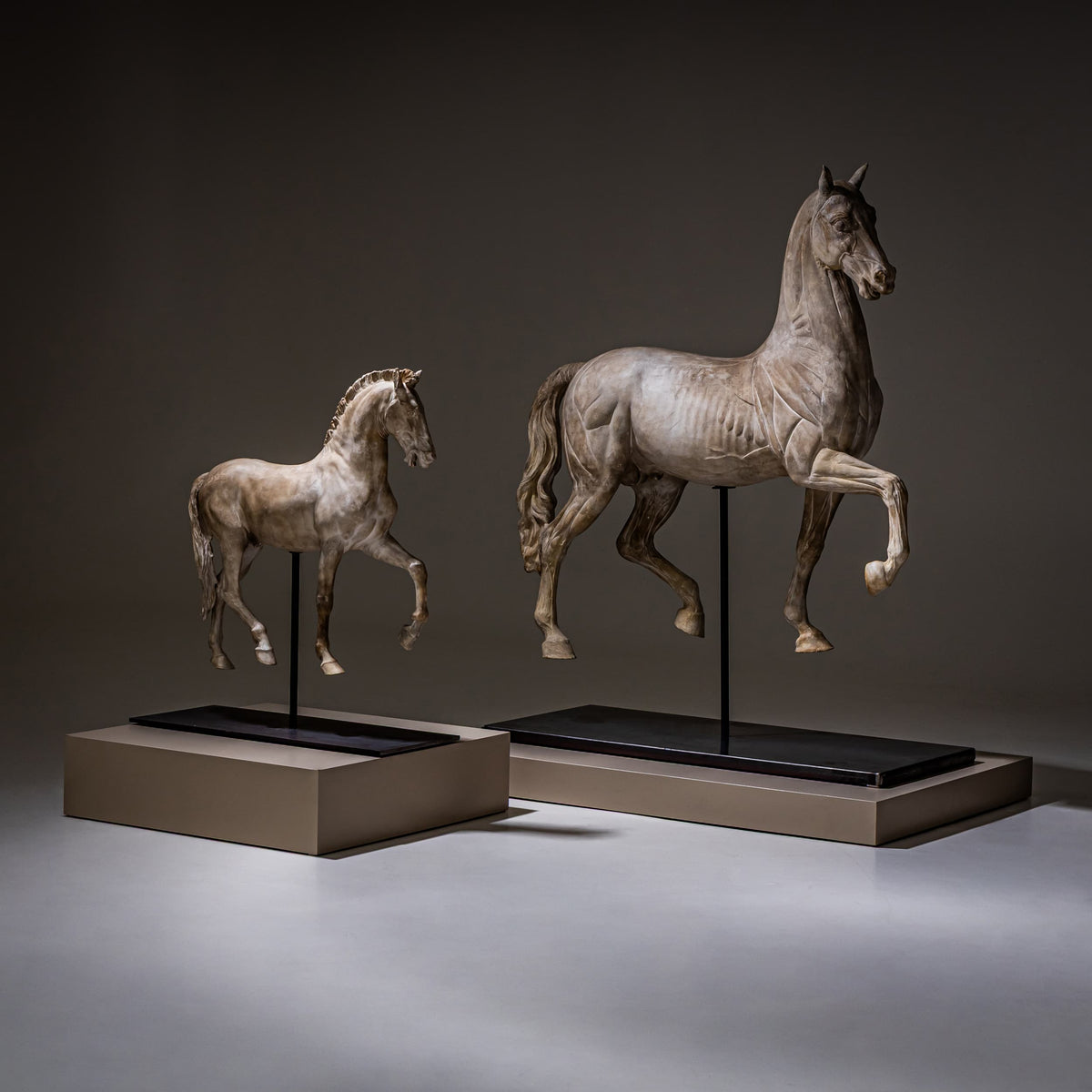 Cavallo Arabo after Gaetano Monti, Plaster, Italy, 21st Century