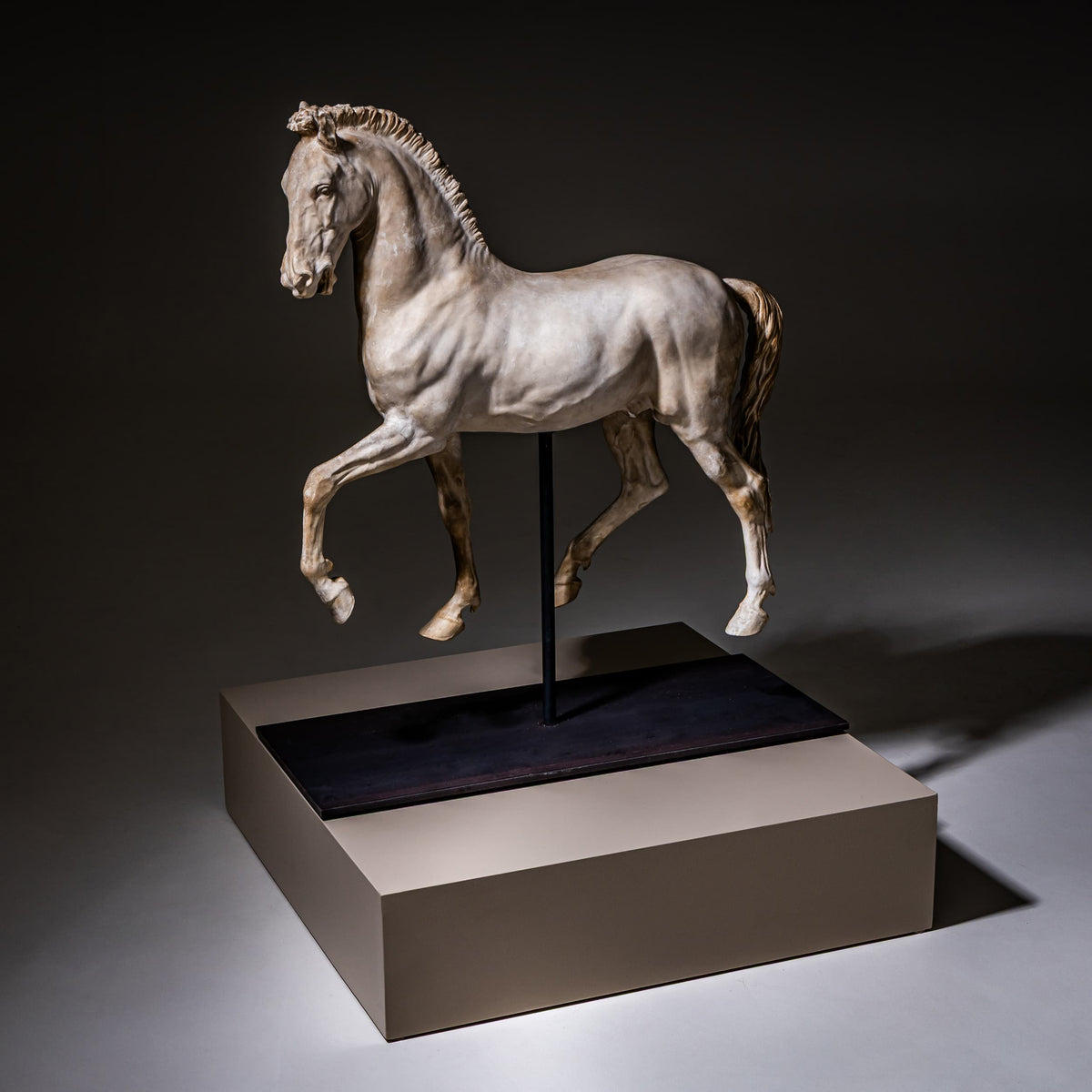 Cavallo Arabo after Gaetano Monti, Plaster, Italy, 21st Century