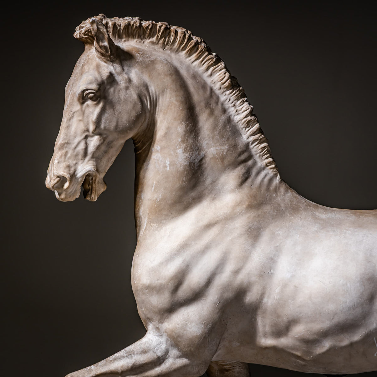 Cavallo Arabo after Gaetano Monti, Plaster, Italy, 21st Century
