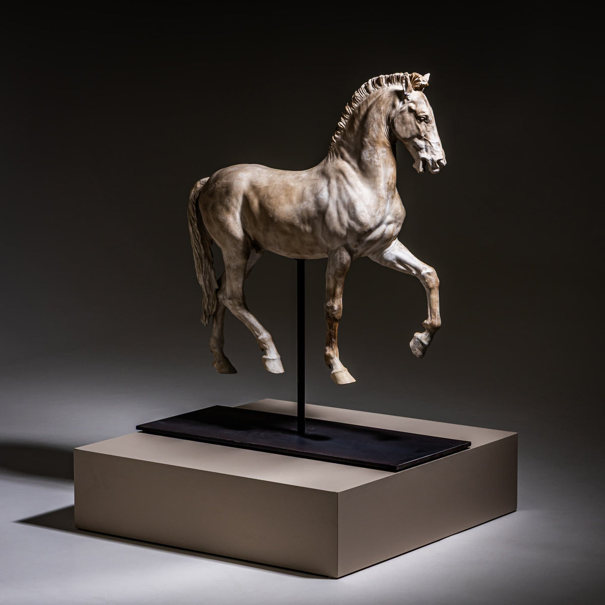 Cavallo Arabo after Gaetano Monti, Plaster, Italy, 21st Century