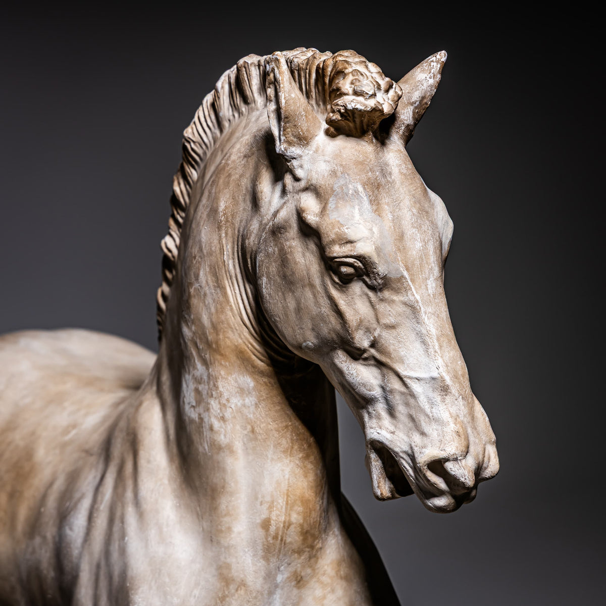 Cavallo Arabo after Gaetano Monti, Plaster, Italy, 21st Century