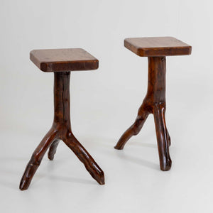 Pair of side tables made from tree branches, 20th Century