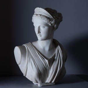 Bust of Diana by Ferdinand Vichi