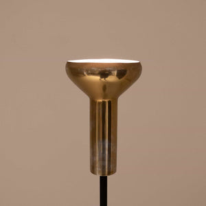 Floor Lamp Model 1073/3 by Gino Sarfatti for Arteluce, Italy 1956